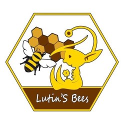 Miel d'été de Lutin'S Bees 500gr