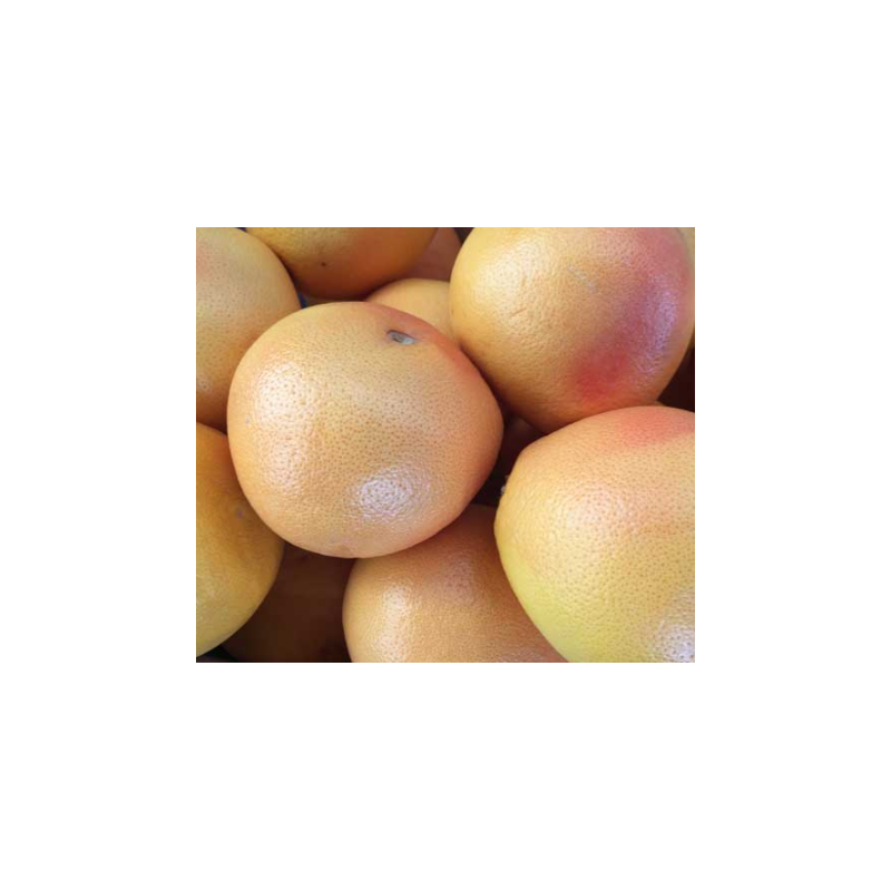 A La Main Verte/pamplemousse rose 1kg