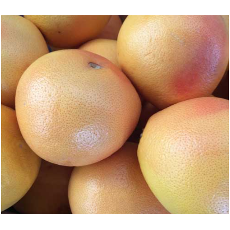 A La Main Verte/pamplemousse rose 1kg