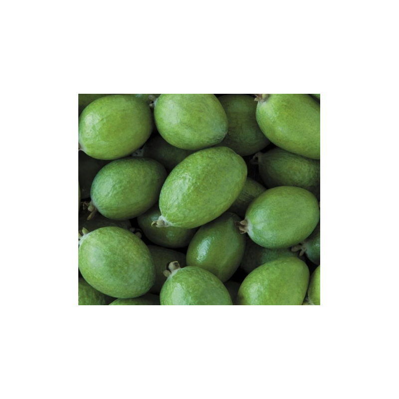 A La Main Verte/feijoe 1kg