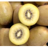 A La Main Verte/kiwi jaune 500gr
