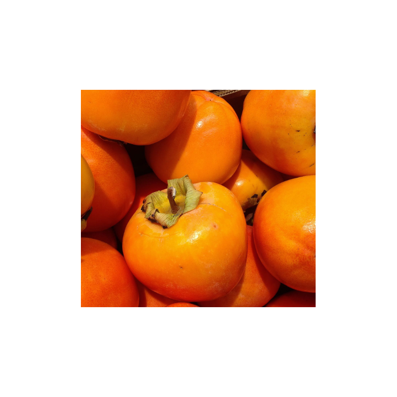 A La Main Verte/kaki 500gr