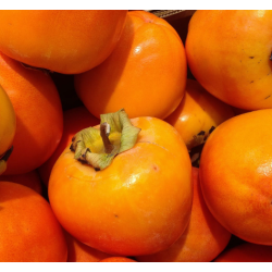 A La Main Verte/kaki 1kg