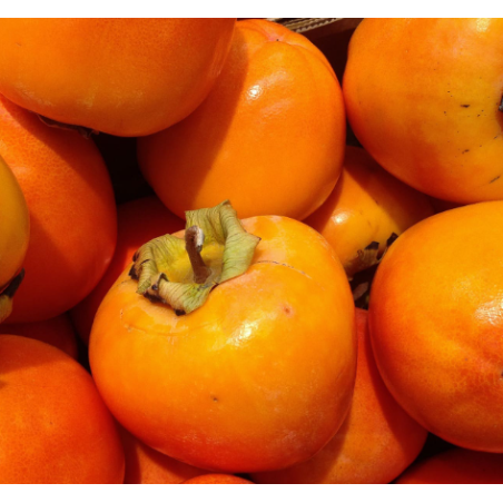 A La Main Verte/kaki 1kg