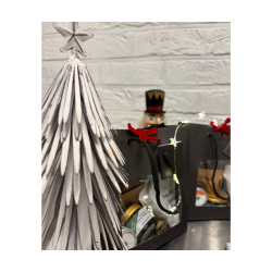 The Green Washer / Le Coffret de Noël 2025 🎁🎄