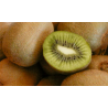 A La Main Verte/kiwi vert 500gr