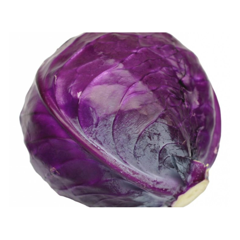 chou rouge bio de roiveau