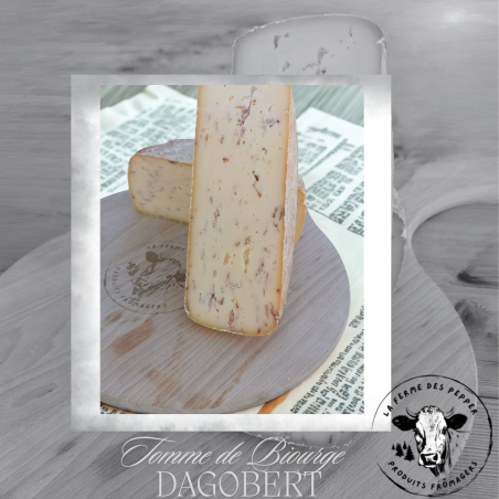Tomme de Biourge Dagobert