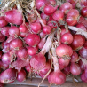 oignons rouges Bio de Roiveau