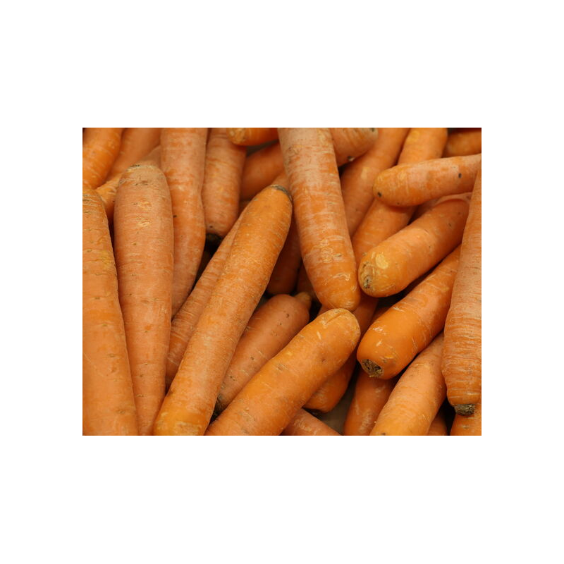 carottes  Bio de Roiveau