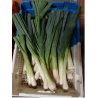 poireaux Bio de Roiveau