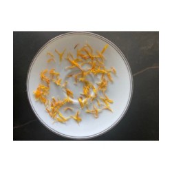 Pétales de calendula