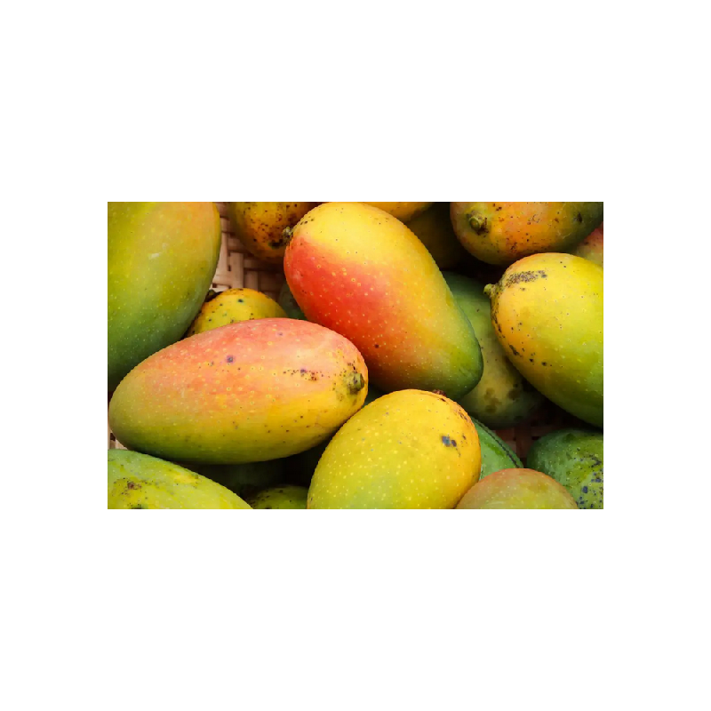 A La Main Verte/ Mangue 1kg