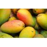 A La Main Verte/ Mangue 1kg