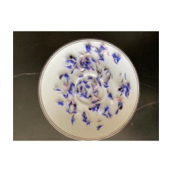 Pétales de bleuet