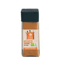 Epices Curcuma en poudre bio