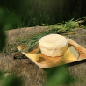 Ricotta salée ail et fines herbes  BIO - 300gr - 25 euros/kg