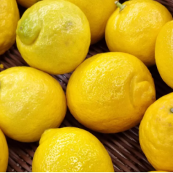 Citron