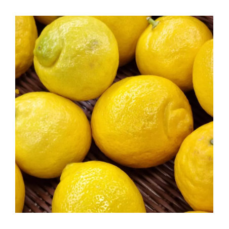Citron