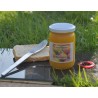 Confiture de mangue