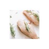 Filet de poulet
