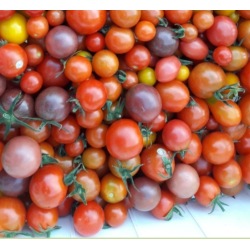 Tomates cerise ( 250gr )
