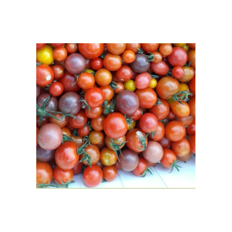 Tomates cerise ( 250gr )