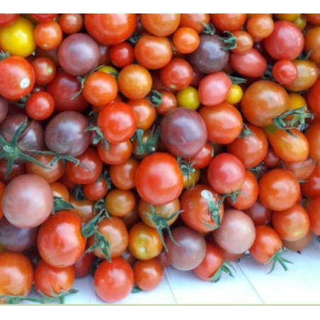 Tomates cerise ( 250gr )