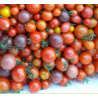 Tomates cerise ( 250gr )