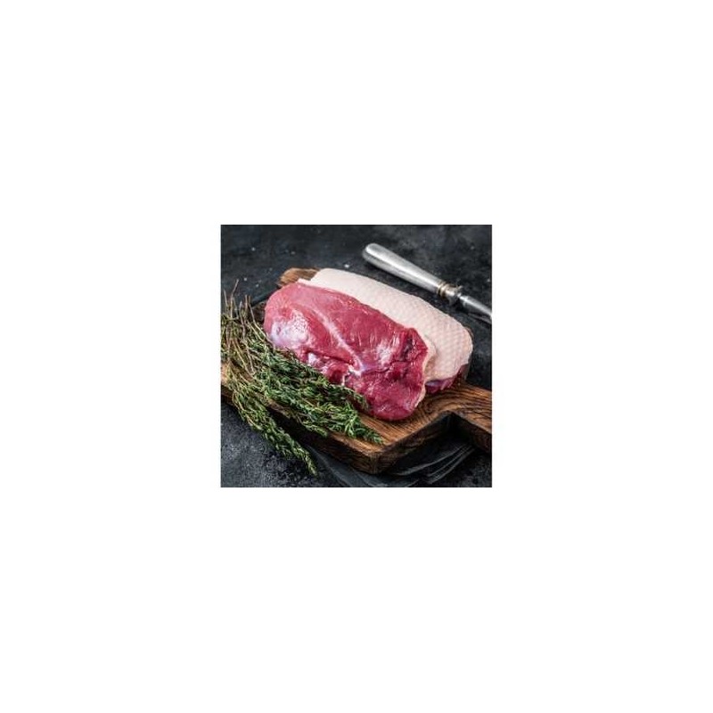 Magret de canard