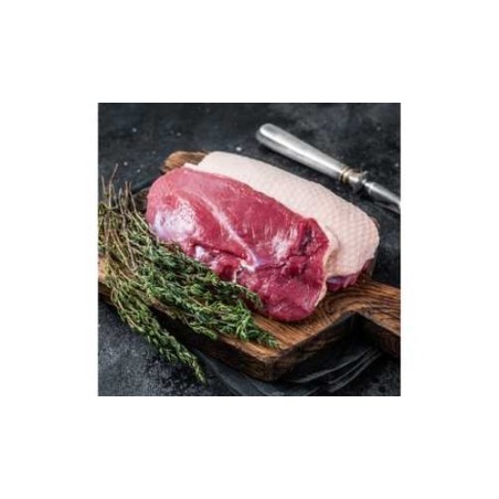 Magret de canard