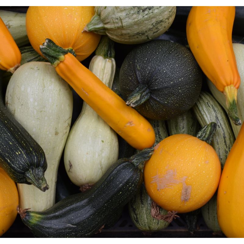 Courgette (1kg)