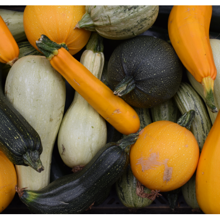 Courgette (1kg)