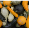 Courgette (1kg)