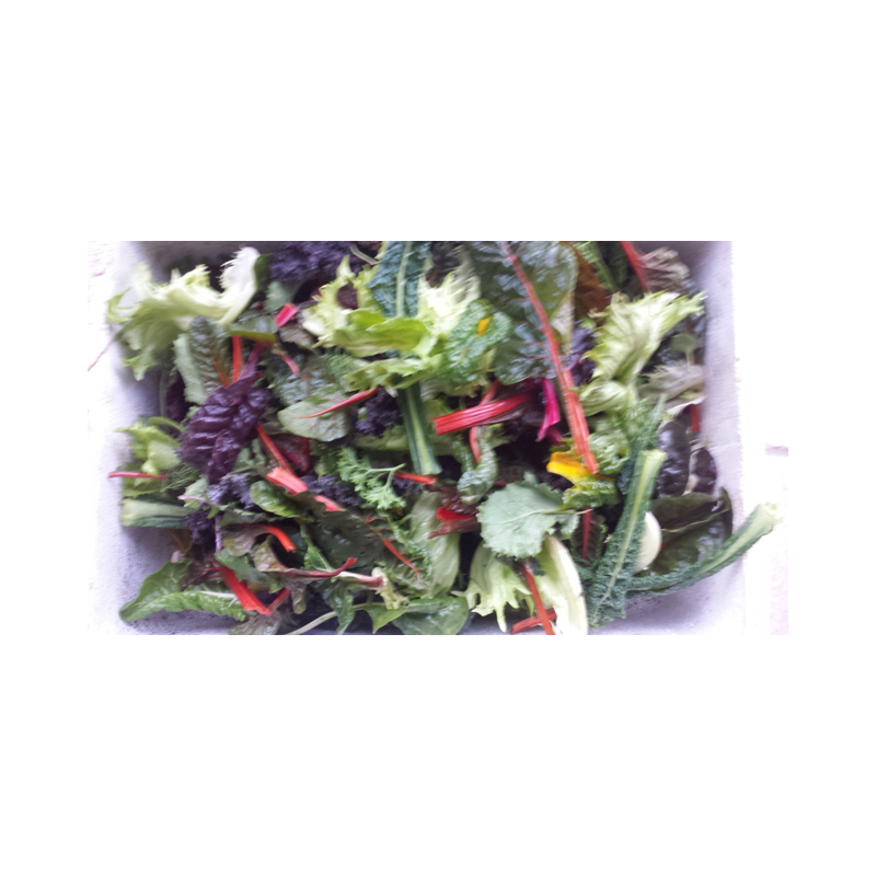 Mesclun (100gr)