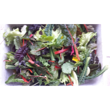 Mesclun (100gr)