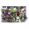 Mesclun (100gr)