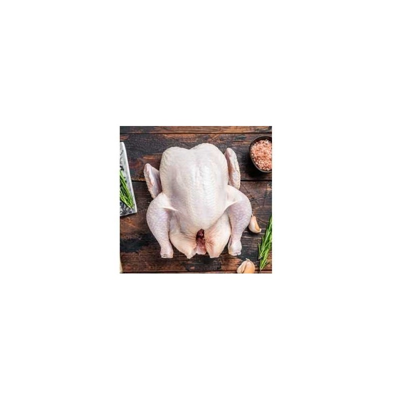 Poule