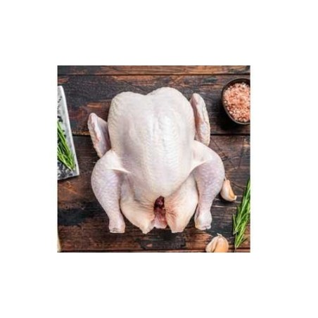 Poule