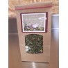Tisane Détox