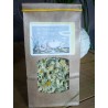 Tisane Camomille Romaine