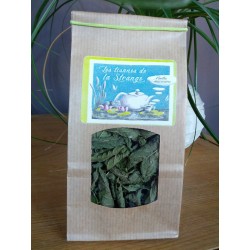 Tisane de Menthe Marocaine