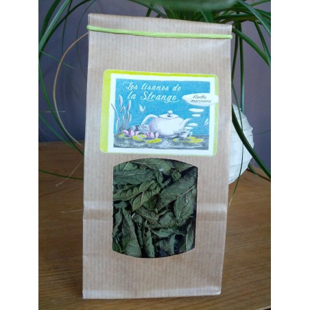 Tisane de Menthe Marocaine