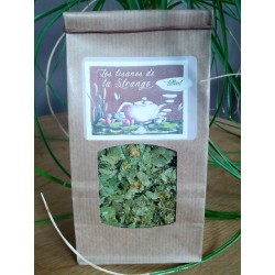 Tisane de Tilleul
