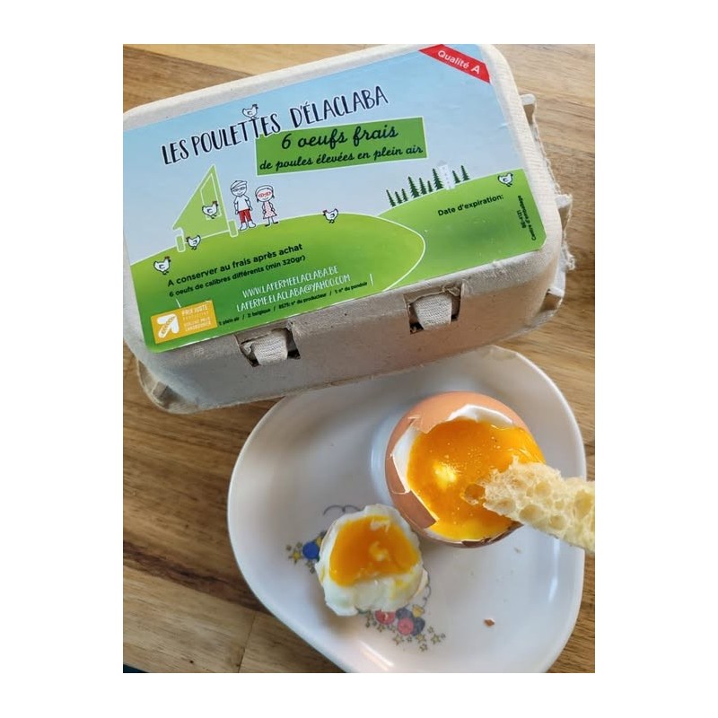 Boite de 6 oeufs