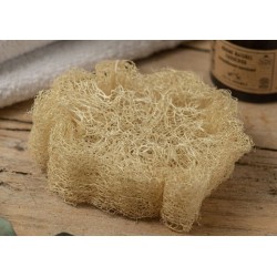 éponge loofah