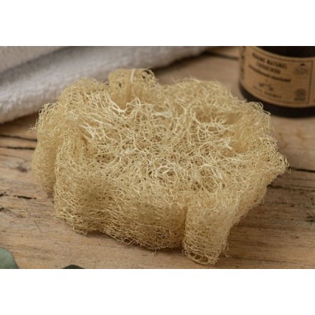 éponge loofah