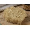 éponge loofah