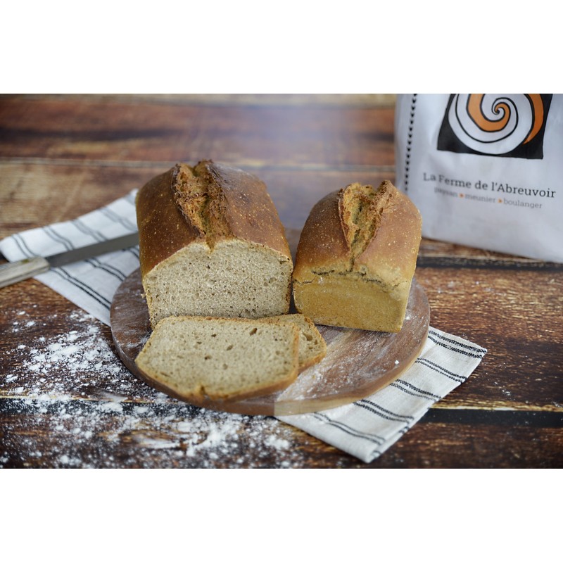 Pain Epeautre demi gris Levain 500gr