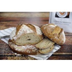 Pain Froment demi gris Levain au graines de sésame 1kg